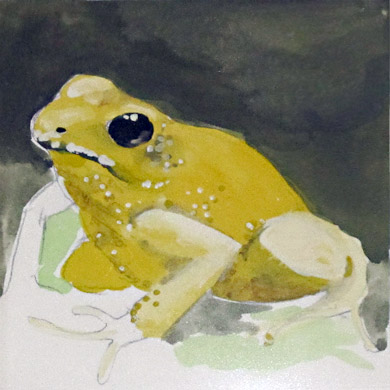 Frog 6607-06