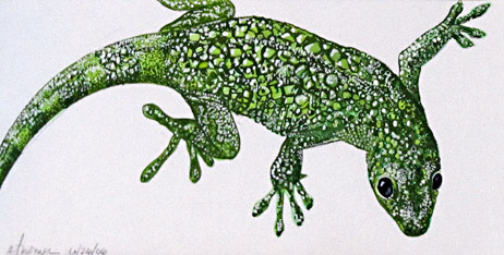 Green Lizard 6608-06