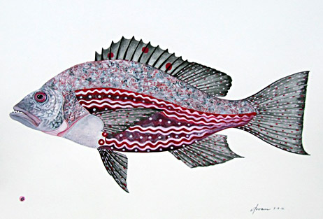 Red Fish 4024-12
